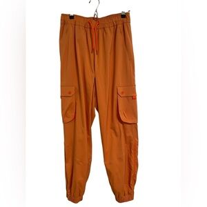 Jordan Cargo Joggers Orange - Sample Item (rare)